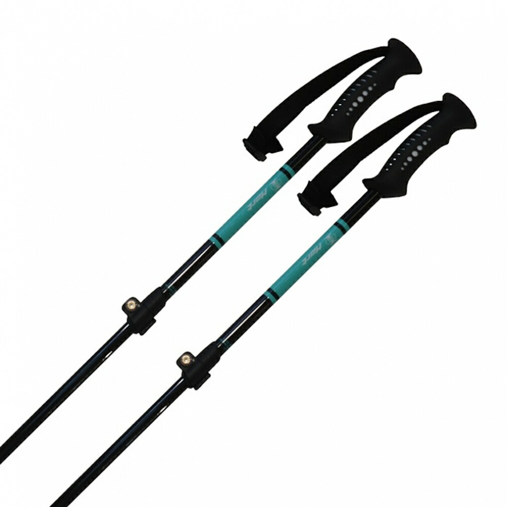 楽天市場】最大10％OFFクーポン 【2/18〜2/23】 ハート スキーケース