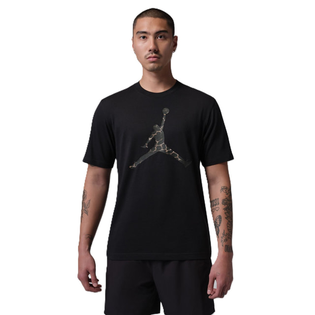 4/20限定★抽選で最大100％Pバック ジョーダン メンズ レディス バスケットボール 半袖Tシャツ ジョーダンスポーツ Dri-FIT Tシャツ JM フィル S/S クルー II5147-010 JORDAN