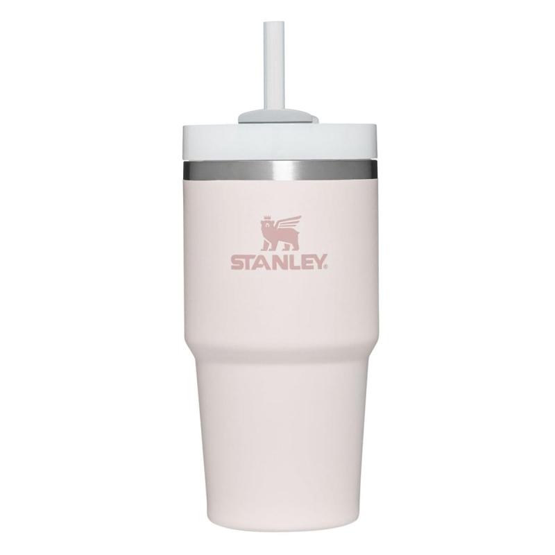 スタンレー（STANLEY） 水筒 タンブラー 保冷 H2.0 真空スリムクエンチャー0.6L 10-10826-061 （ローズ/ＦＦ）