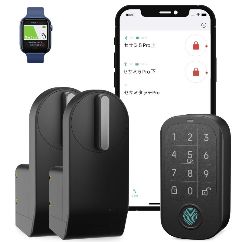 楽天市場】岩鋳 Iwachu マルチオーブン30 黒焼付 内寸29.5cm