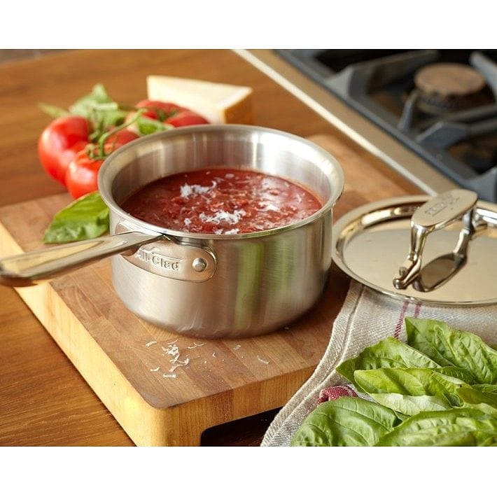 ウィリアムズソノマ オールクラッド d5 ステンレス製 ソースパン Williams-Sonoma All-Clad d5 Brushed Stainless-Steel Saucepans｜アルファエスパス米国店
