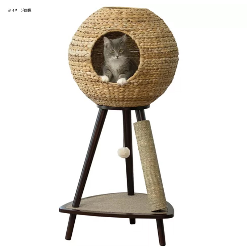 楽天市場 キャットツリー 高さ110cm キャットタワー 爪とぎ おもちゃ ネコ 猫 おしゃれ Archie Oscar Adriana 44 Sphere Scratch Post Cat Tree Aosc1008 アルファエスパス米国楽天市場店