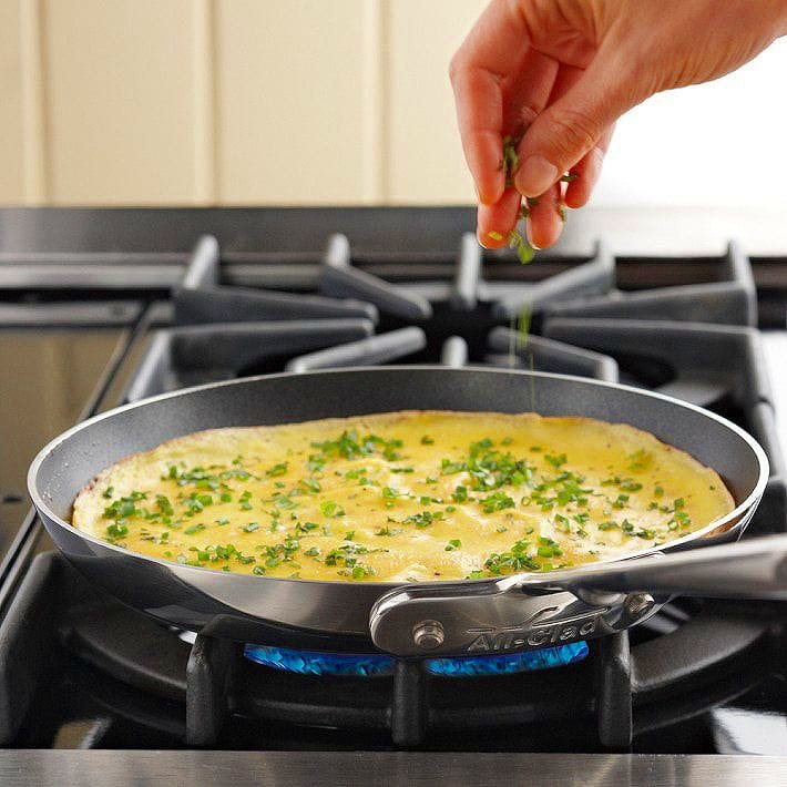 Rakuten ウィリアムズ ソノマ限定 オールクラッド フライパン Pfoaフリー Williams Sonoma All Clad D5 Stainless Steel Nonstick Omelette Pan アルファエスパス店 即日出荷 Www Buhl Com Ar