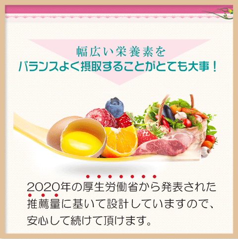 勉強サプリ