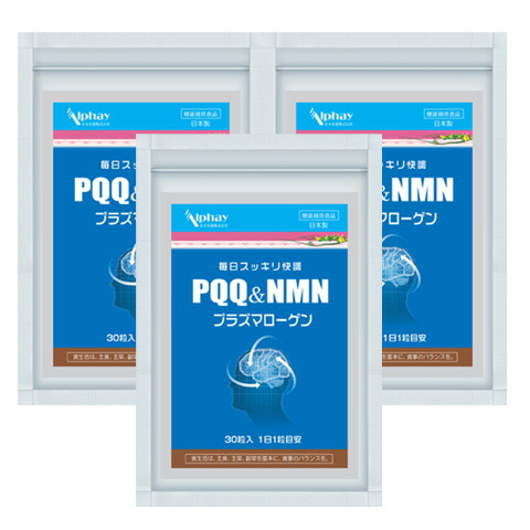 PQQ＋プラズマローゲン＋NMN お得な３袋書き割り 国産 無加えること 公孫樹葉 GABA DHA EPA コエンザイムQ10 結集する 思い起こす コンドリオソーム 妊活 サプリ