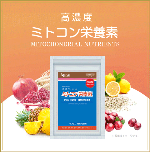 楽天市場】コンドリプラス kondri＋カプセル 300錠 使用期限