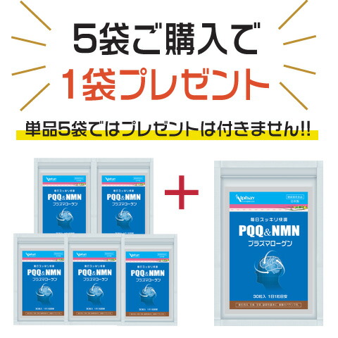 PQQ＋プラズマローゲン＋NMN 5袋＋1袋付 無加えること GABA DHA EPA 公孫樹葉 コエンザイムQ10 結集する 思い起こす コンドリオソーム 妊活 サプリ