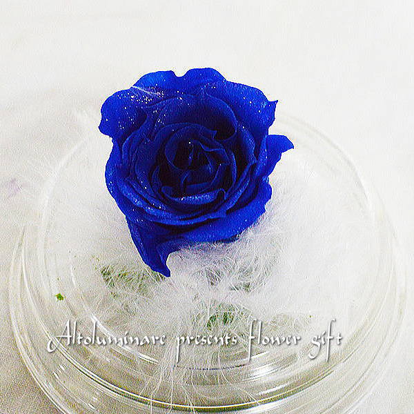 楽天市場】ガラスドーム ハート ダイヤモンドローズ プリザーブド