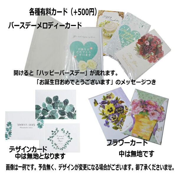 至上 北海道 沖縄 離島送料無料 母の日 サントリー ムーンダストカーネーションの花束 50本 お誕生日 敬老の日 お祝い Fucoa Cl
