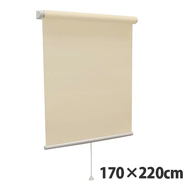 【高品質＆高機能】 規格品『ティオリオ』 ロールスクリーン 無地防炎 170×220 TR-3137 シナモン 『代引不可』 【送料無料（一部地域除く）】