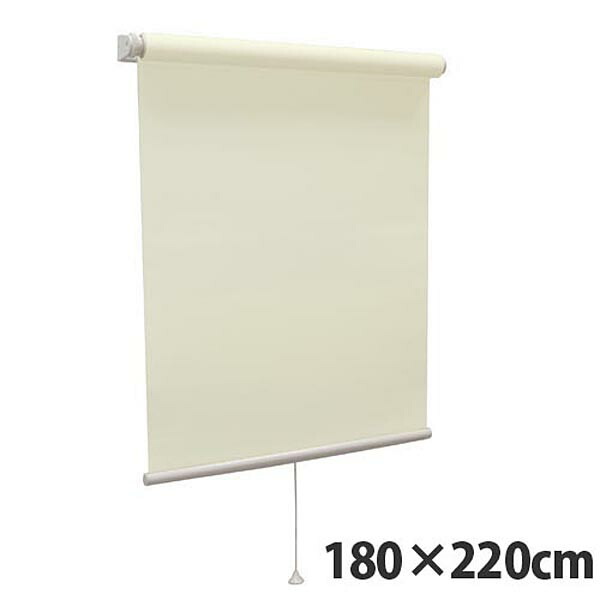 【高品質＆高機能】 規格品『ティオリオ』 ロールスクリーン 無地防炎 180×220 TR-3148 ペールグリーン 『代引不可』 【送料無料（一部地域除く）】 10,268円