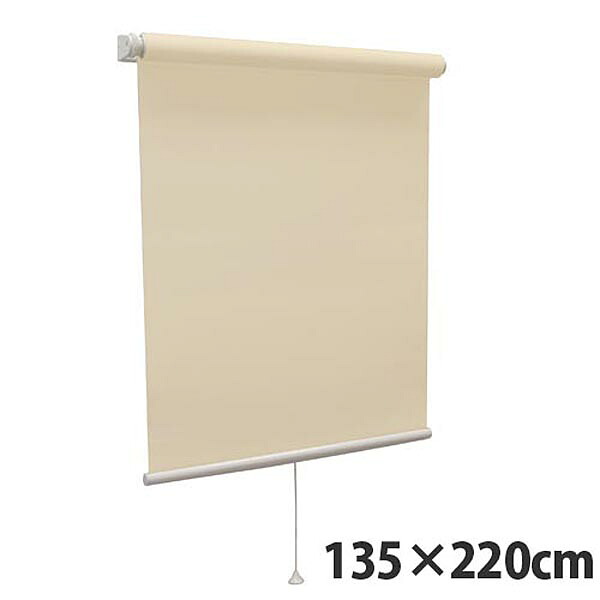 【高品質＆高機能】 規格品『ティオリオ』 ロールスクリーン 無地防炎 135×220 TR-3137 シナモン 『代引不可』 【送料無料（一部地域除く）】