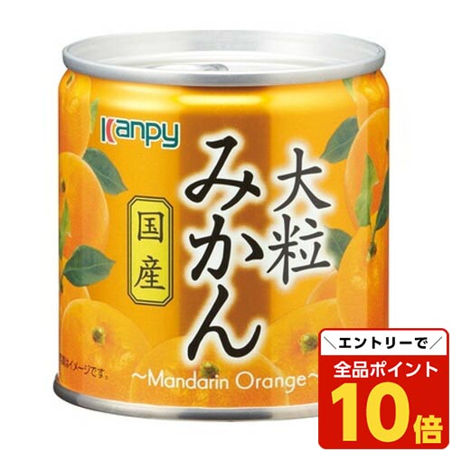 山口大島　⭐︎国産⭐︎みかん缶詰　24缶 山口大島 ⭐︎国産⭐︎みかん缶詰 24缶