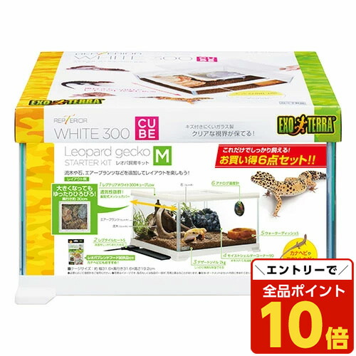 EXOTERRA グラステラリウム 3030 レオパ飼育セット 爬虫類 3030 飼育ケース グラステラリウム」の人気商品一覧