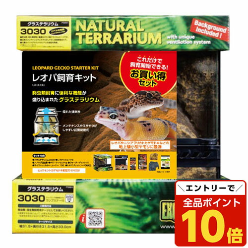 Exo Terra 3030 レオパードゲッコースターターキット Amazon | GEX EXOTERRA レオパ飼育キット GT3030 爬虫類用ガラス