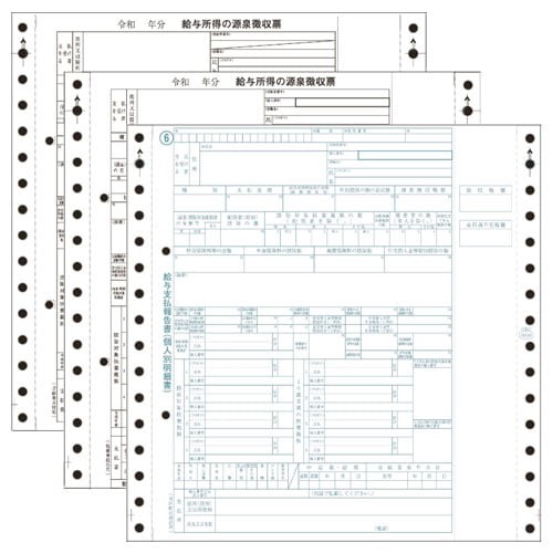 OBC 6009-A25 源泉徴収票 令和7年対応 ドットプリンタ用 100名分『代引不可』 『送料無料（一部地域除く）』