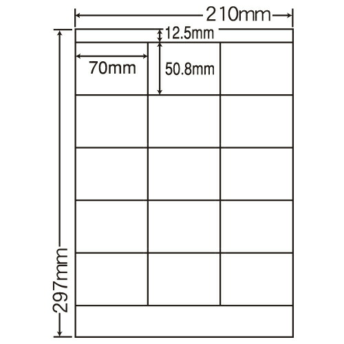 ラベルシール 東洋印刷 SCJ-13 カラーインクジェット用光沢 A4 80シート 【代引不可】 【送料無料（一部地域除く）】