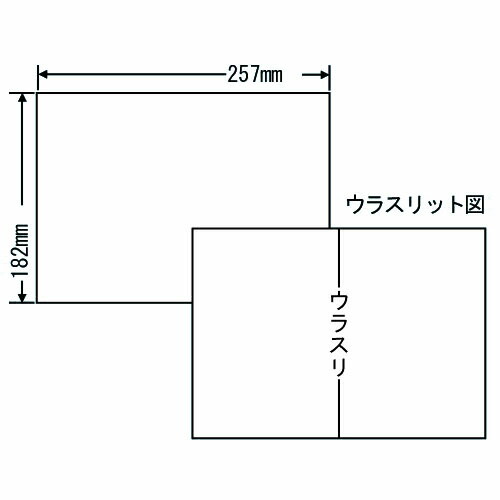 下げ札消印 オリエント刷り上げる C1B5F 再取りはずす印字機 B5 100居敷き×10箱【代引不可】【貨物輸送無料（構成要素一画除く）】
