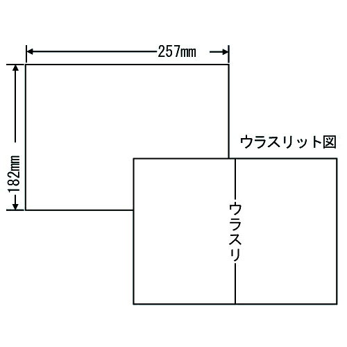 『代引不可』 東洋印刷 ラベルシール nana 汎用タイプ B5 100シート×10 C1B5 ラベル プリンタラベル ナナ ナナラベル nanaラベル シール 業務用 『返品不可』 【送料無料（一部地域除く）】