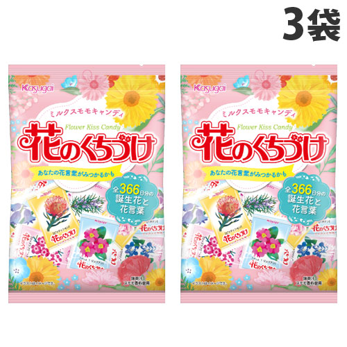 55.キャンディ　キャンディ　花名刺 55.キャンディ キャンディ 花名刺