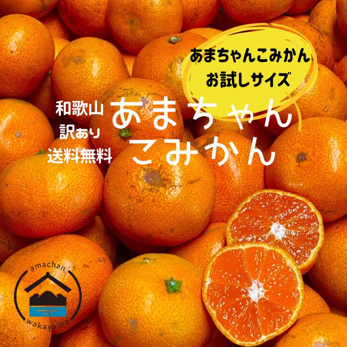 【あーちゃん様】専用 三ヶ日みかん 早生小玉ご家庭用約10kg×2箱　計20kg あーちゃん様】専用 三ヶ日みかん 早生小玉ご家庭用約10kg×2箱