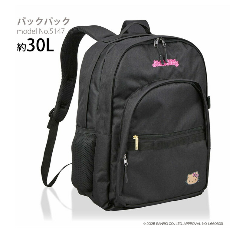 【百貨店SALE押さえる通貨価値＆引き換え証】SANRIO CHARACTERS サンリオキャラクターズ うしろ側容器に並べる 学院御徒面子 背嚢 キャリーオン能力のある YKKチャック 座布団隠し シフレ 5147 日焼 日暈キティ
