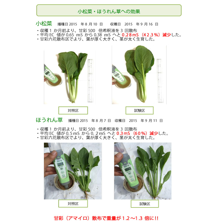 楽天市場 甘彩 アマイロ 450mlスプレー 肥料 Ec 樹勢回復 隔年結果 連作 活力剤 キュウリ 小松菜 ホウレン草 トマト ナス ピーマン バラ 野菜 花 甘彩六花 楽天市場店