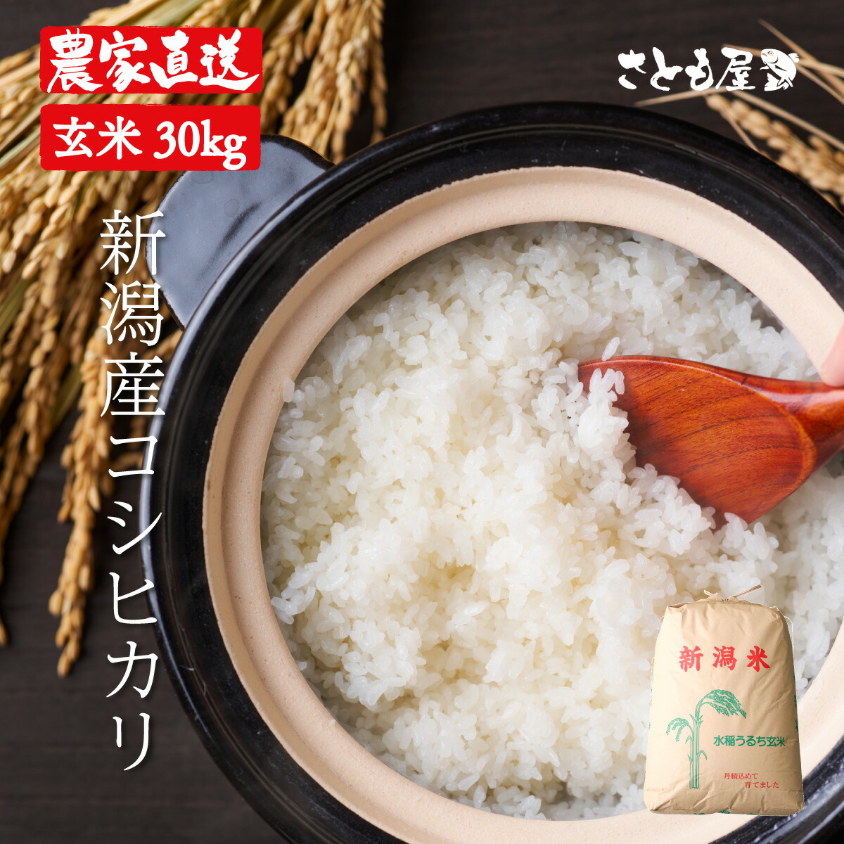 【P5倍】玄米 令和7年産 コシヒカリ 30kg ×1袋 米 新潟産 30キロ 送料無料 こしひかり 産地直送 白米 精米 新潟 お米 新潟県産 国産 新潟産こしひかり コシヒカリ こめ コメ ギフト おいしい 冷めてもおいしい おにぎり