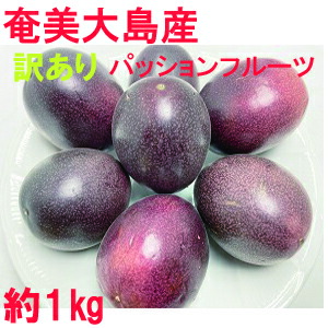 楽天市場】奄美大島産 すもも プラム 約3kg B級品 ご家庭用 L