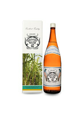 奄美大島産 すもも プラム 約3kg B級品 ご家庭用 Lサイズ（中玉