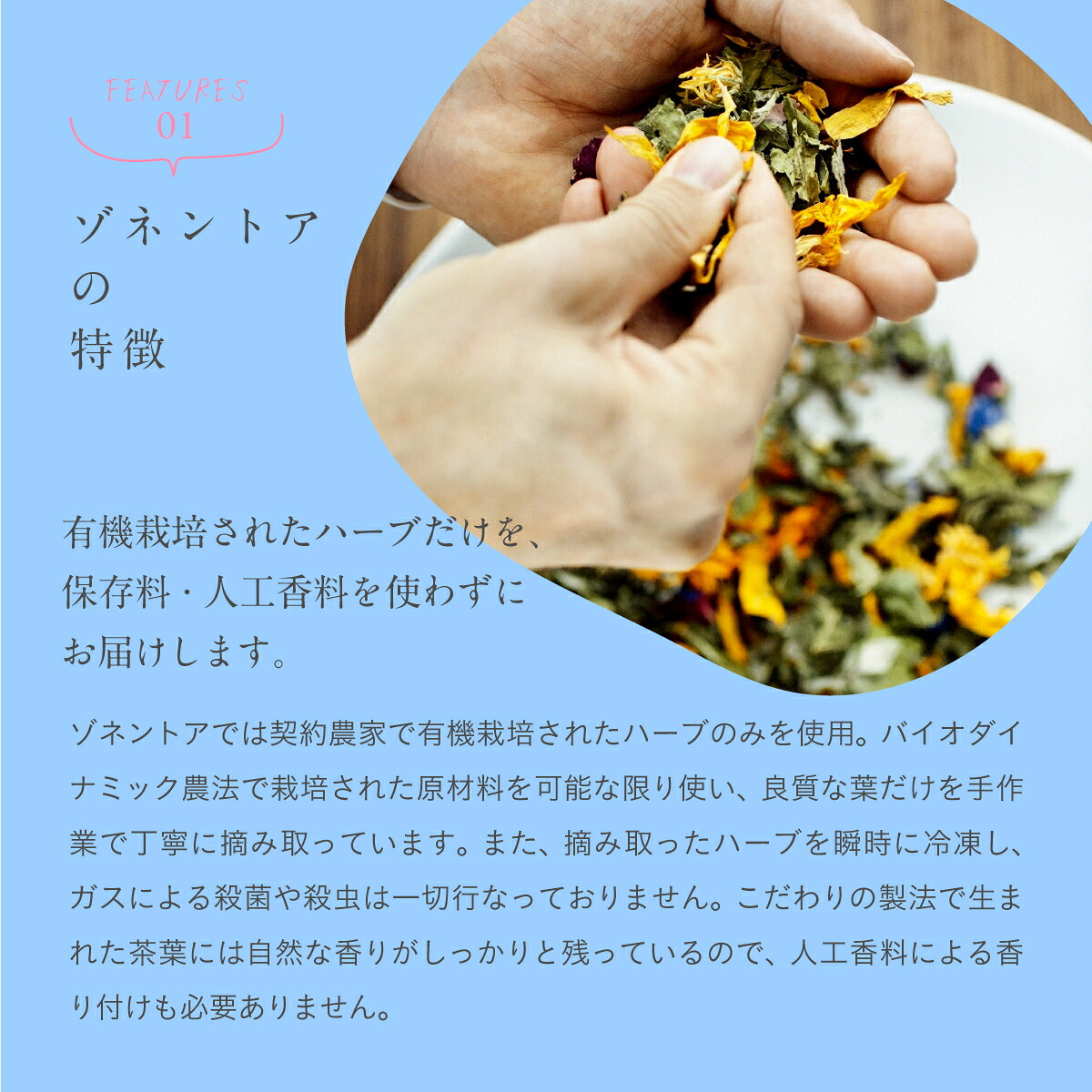 【9月30日 限定クーポン】ゾネントア アソート 20種類のお茶| SONNENTOR オーガニックハーブティー ゾネントア レメディーハーブ ギフト