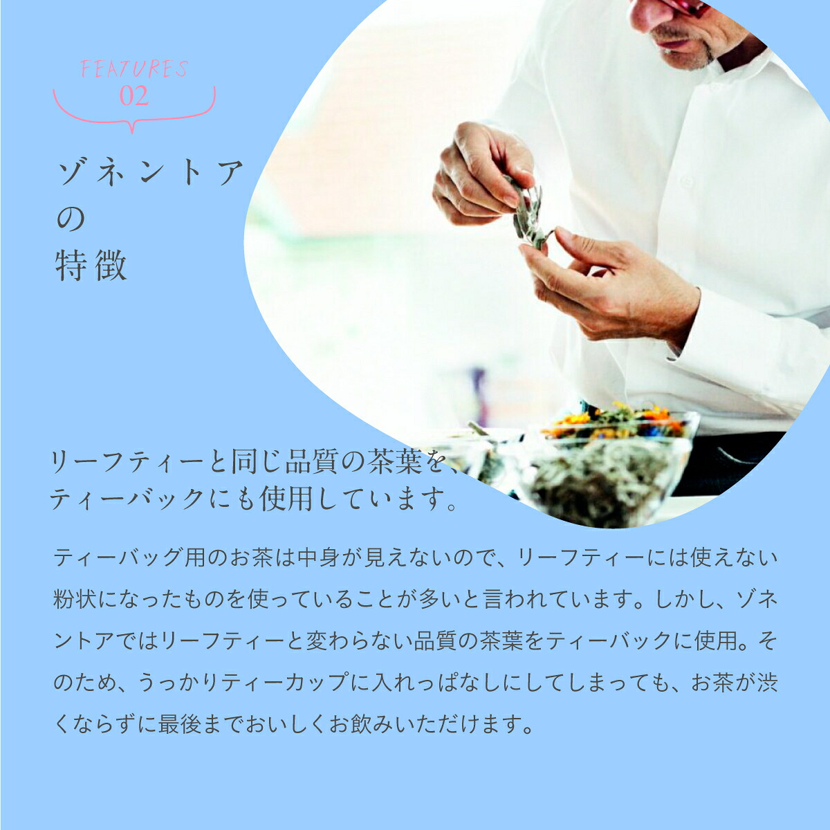 【9月30日 限定クーポン】ゾネントア アソート 20種類のお茶| SONNENTOR オーガニックハーブティー ゾネントア レメディーハーブ ギフト