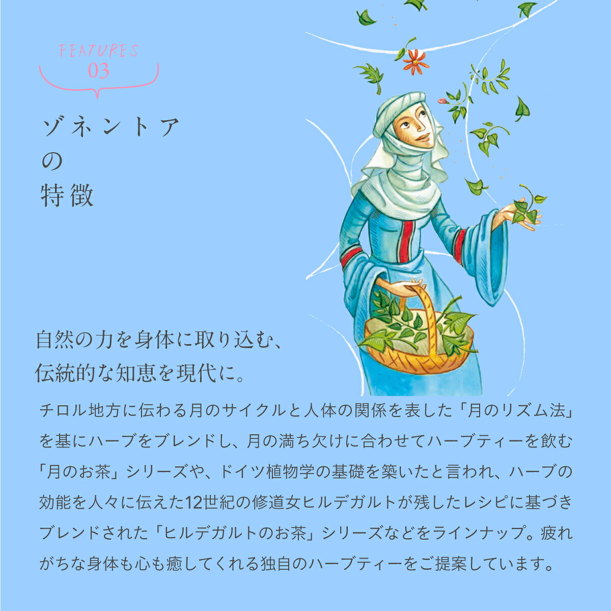 【9月30日 限定クーポン】ゾネントア アソート 20種類のお茶| SONNENTOR オーガニックハーブティー ゾネントア レメディーハーブ ギフト