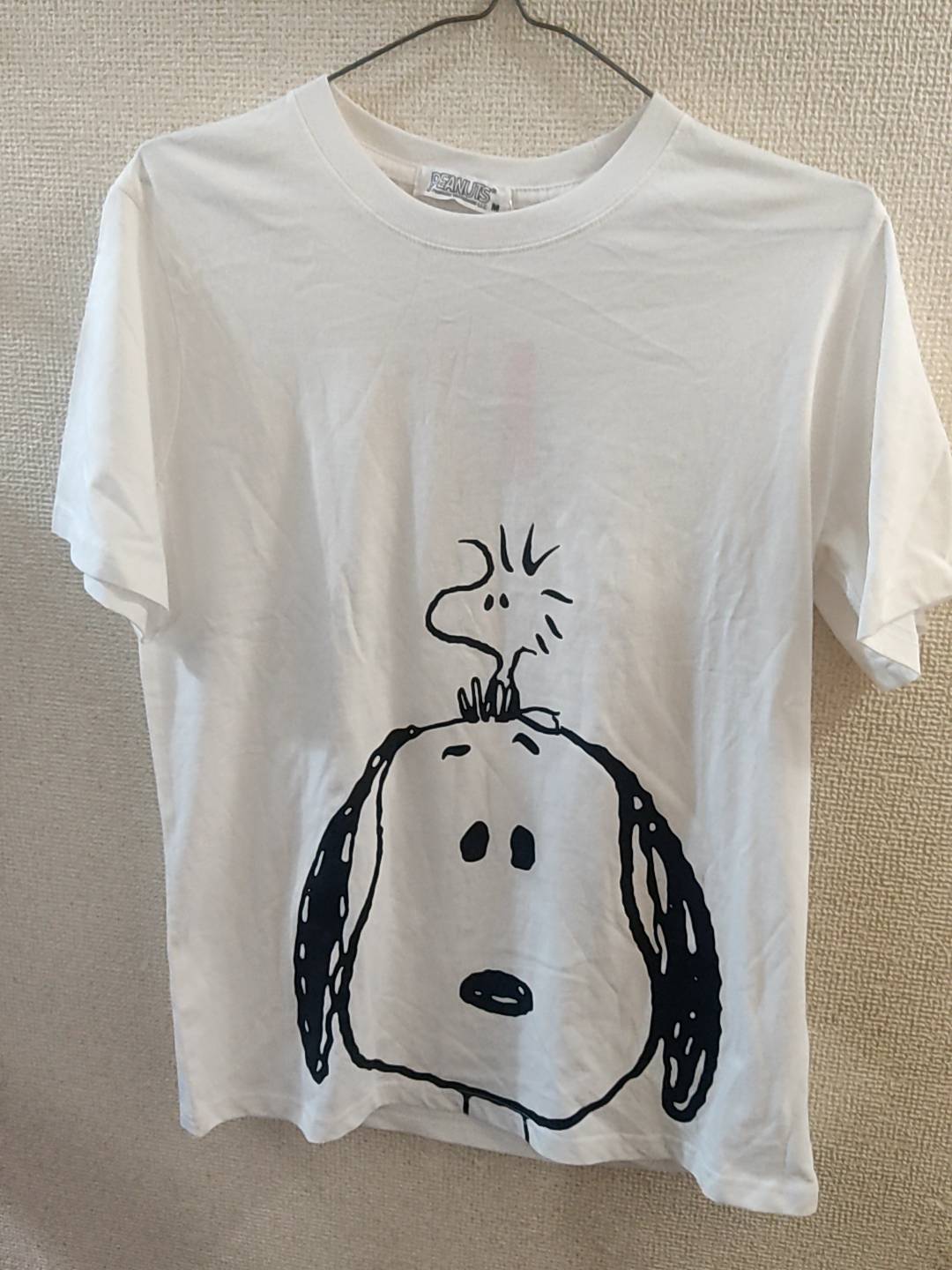 スヌーピー　ヴィンテージ　レトロ　昭和　Tシャツ　ウッドストック　ピーナッツ 90s 90年代 ピーナッツ ウッドストック スヌーピー │ヴィテージ
