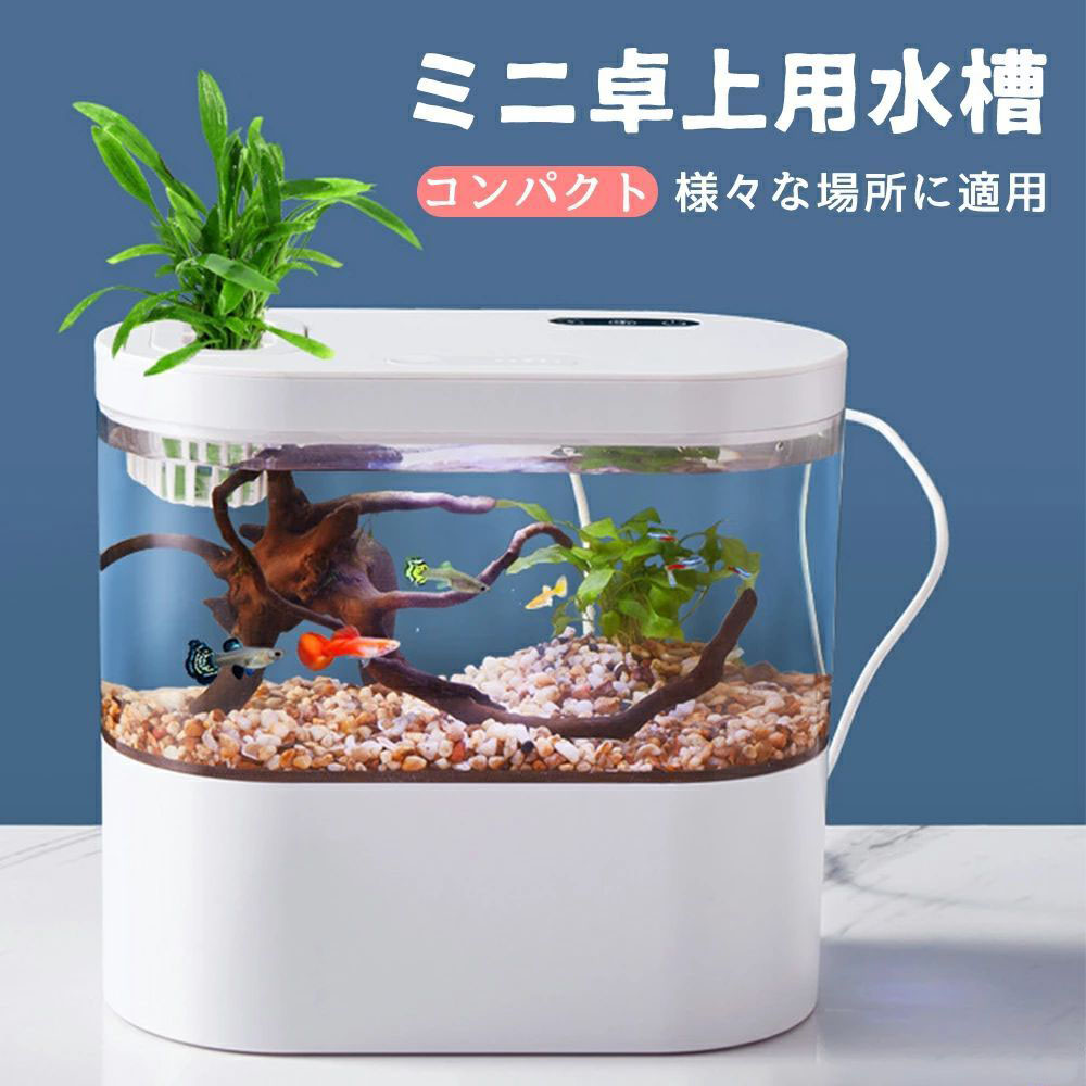 LEDライトフィルターポンプ付き水槽セットアクアリウム コードレス 水族館 オーナメント 自由研究 LED照明 水槽 セット卓上 玄関 リビング  LEDランプ 水槽セット おしゃれ かわいい オブジェガラス | amazingshop2022