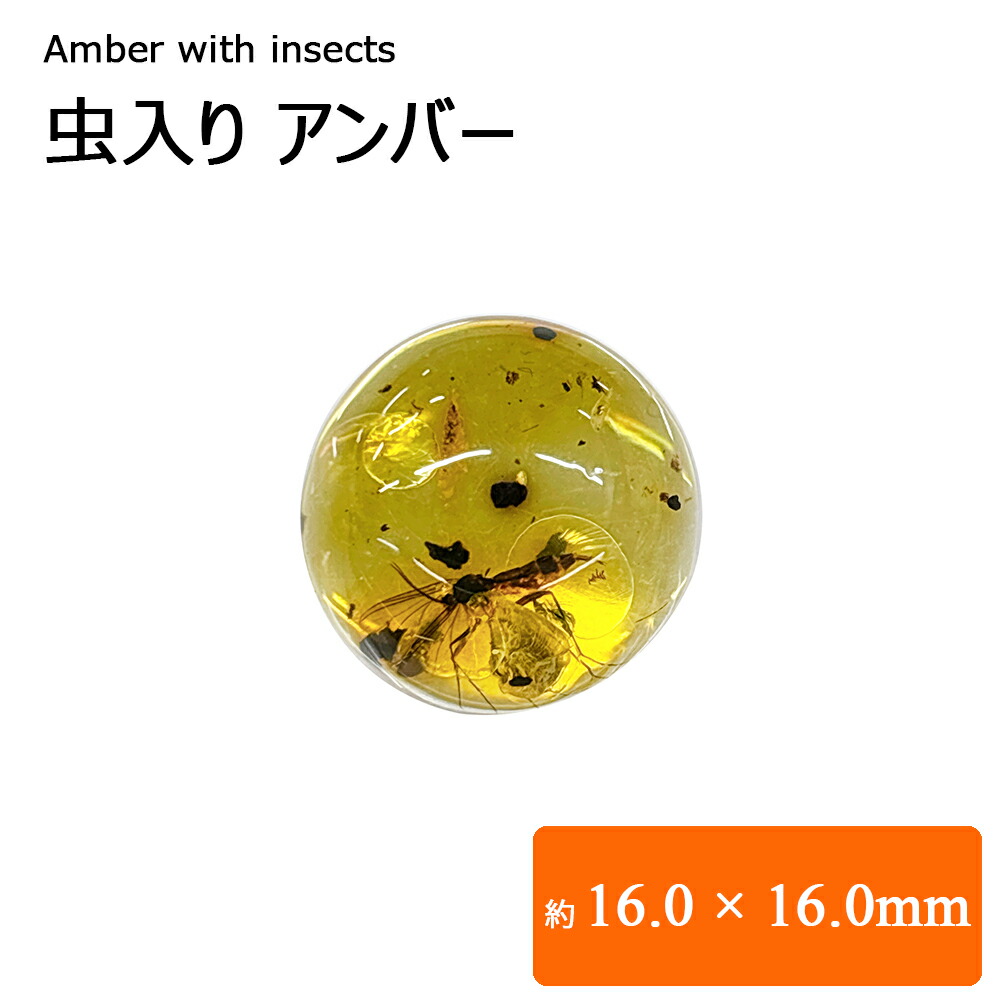 【化石】虫(蜂)入り琥珀 （台座付き） 楽天市場】化石 虫入り琥珀原石 イエローアンバー 蜂 蚊 はち