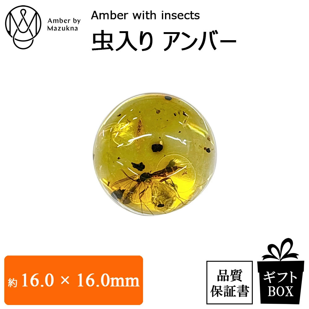 楽天市場】化石 虫入り琥珀原石 イエローアンバー 蜂 蚊 はち ハチ カ