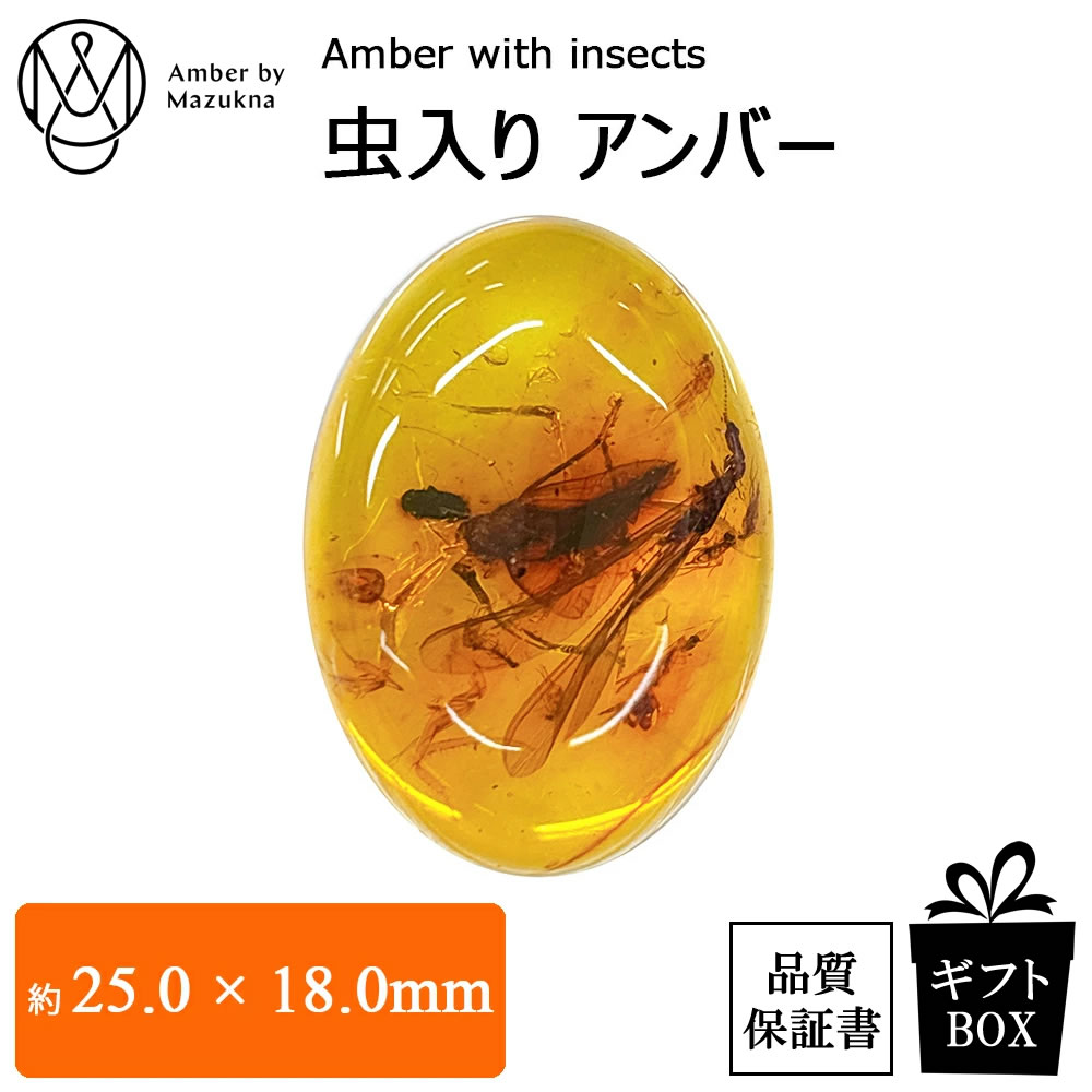 天然 琥珀 コハク 虫入りコバクアンバー 天然琥珀 虫入り琥珀 こはくルース インセクトアンバー