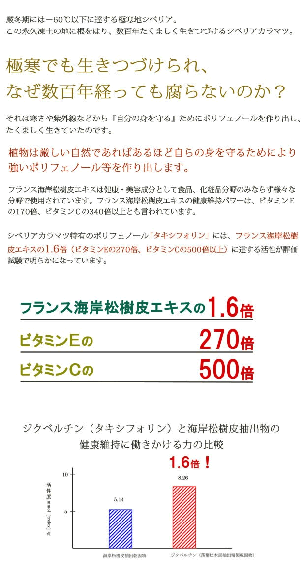 1.6倍