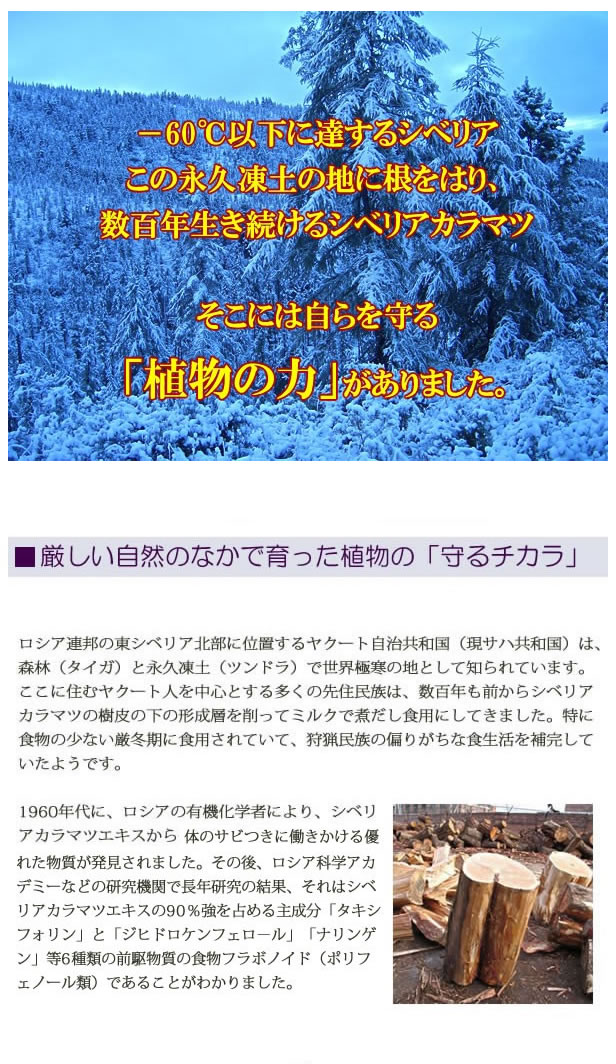 まもる力