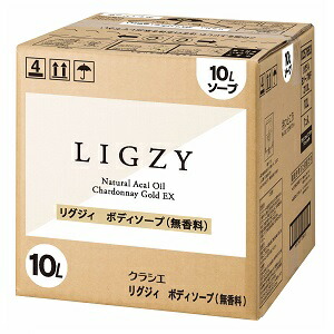 ボディソープ10ℓ Ryoko商品です♪ compass1662605100.jpg