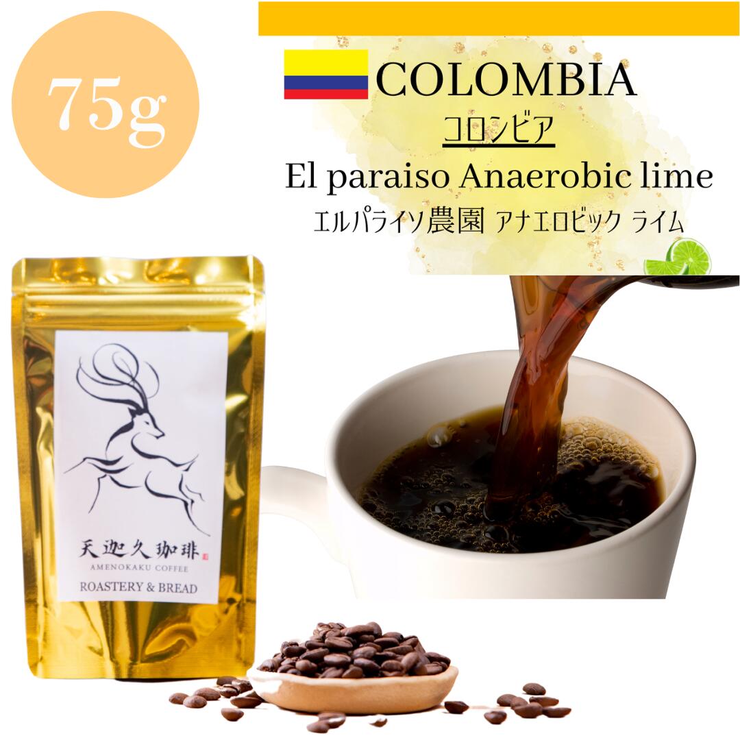 【自家焙煎コーヒー豆　アナエロビックライチ／コロンビア　600g】限定品 自家焙煎コーヒー豆】コロンビア エルパライソ アナエロビック