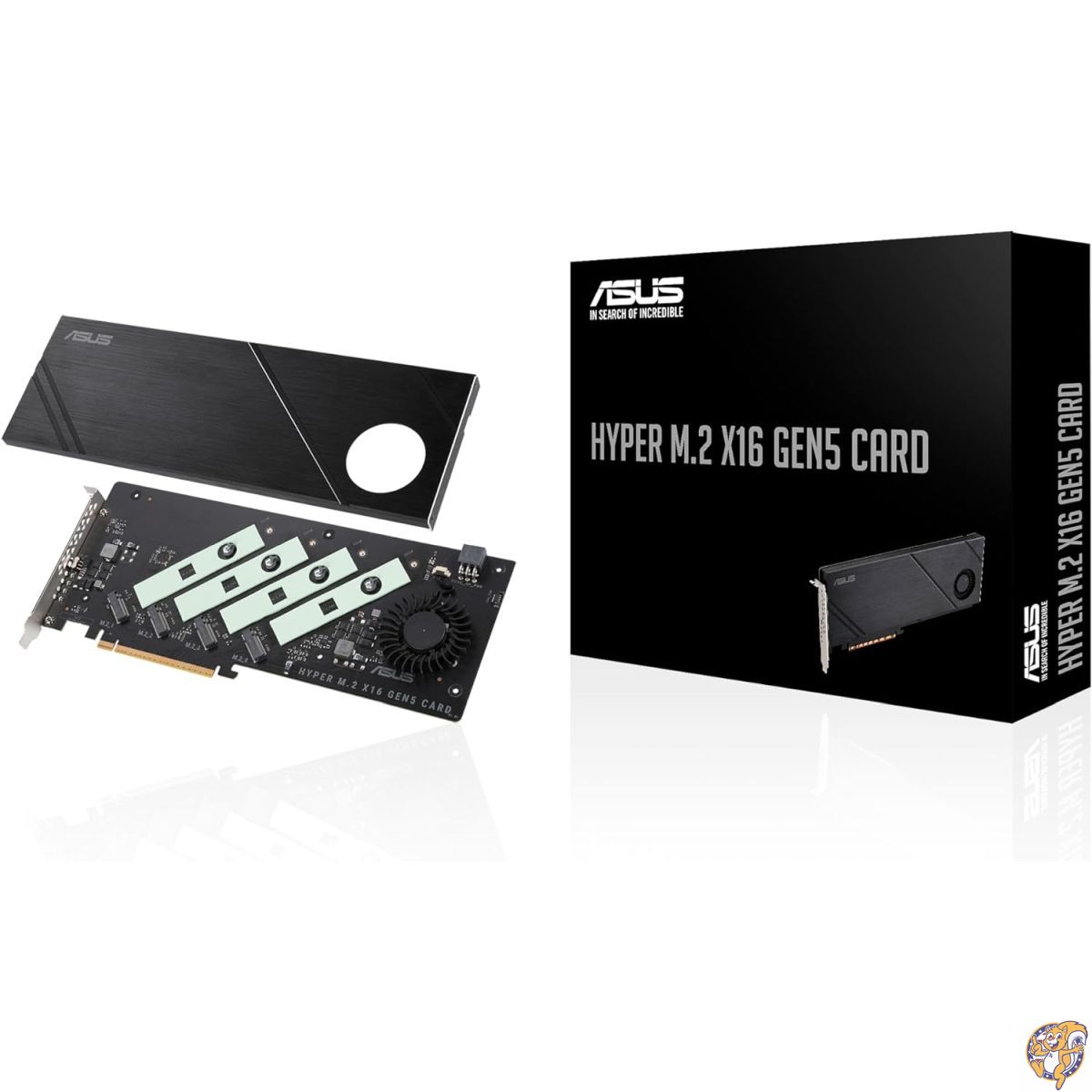 楽天市場】ASUS Hyper M.2 x16 Gen5 カード (PCIe 5.0/4.0) 4