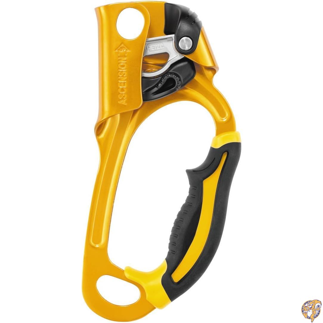 【百貨店大売り出し!クーポン券配達中】PETZL(ペツル) B17ARA アッセンション R [並行輸入品]