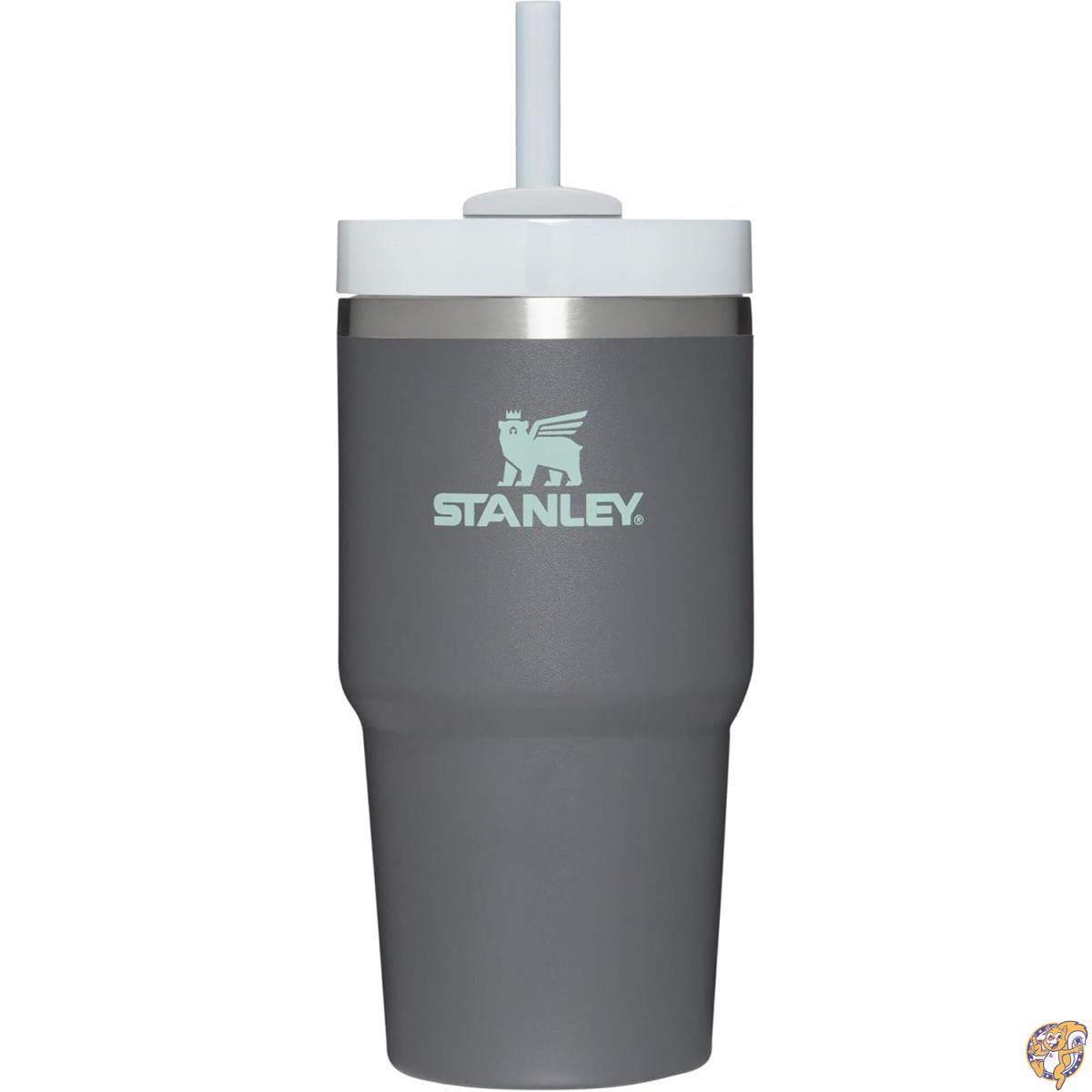 Stanley Quencher FlowState - Vaso de acero inoxidable aislado al vac&iacute;o con tapa y popote para agua, t&eacute; helado o caf&eacute;, batidos m&aacute;s 20 onzas, nueva versi&oacute;n