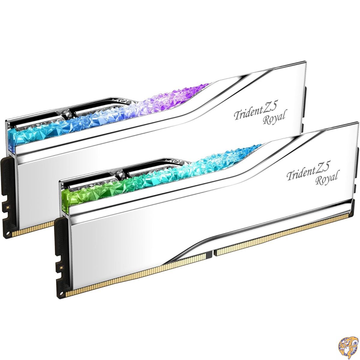 【百貨店大売り出し!引き換え証配送中】G.SKILL Trident Z5 ロイヤルつづき物 (Intel XMP 3.0) DDR5 ランダムアクセス記憶装置 32GB (2x16GB) 6400MT/s CL32-39-39-102 1.40V デスクトップコンピュータメモリ UDIMM - しろがね色 (F5-6400J3239G16GX2-TR5S)