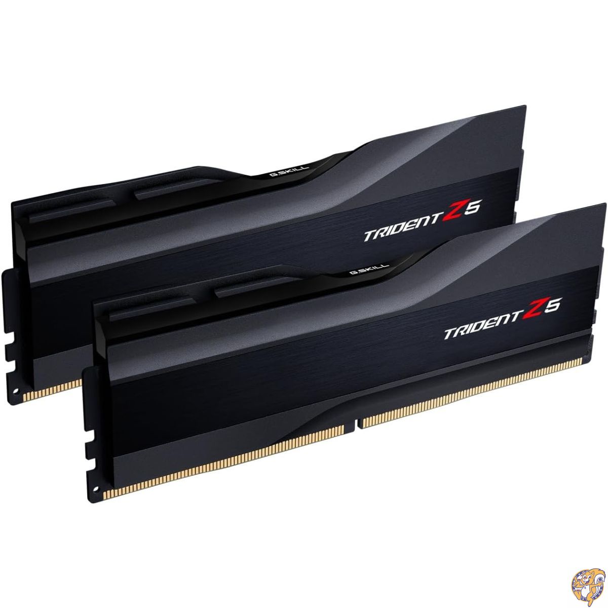 【百貨店大売り出し!引き換え証送達中】G.SKILL Trident Z5続きもの DDR5 ランダムアクセス記憶装置 (Intel XMP 3.0) 48GB (2x24GB) 8400MT/s CL40-52-52-134 1.40V デスクトップコンピュータメモリ U-DIMM - 引っ敷き黒いこと (F5-8400J4052G24GX2-TZ5K)