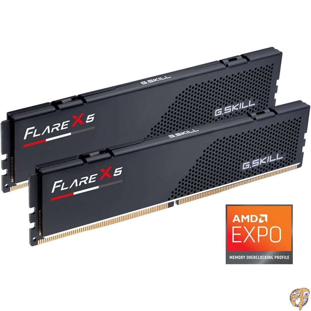 【百貨店大売り出し!引き換え証配送中】MEM 2 * 16G | GSK F5-6000J3636F16GX2-FX5