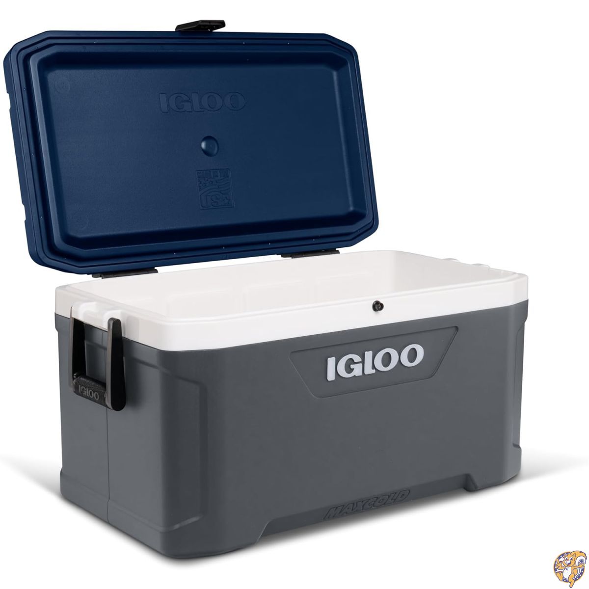【最大限度2000円クーポン券15日】igloo(イグルー) 冷房装置ボックス席 MAXCOLD 70 約66L マックス冷ややかさ アウトドア 難民キャンプ 余暇 釣り銭 内燃機関青色 60391 クーラーボックス・保冷剤-スポーツ・アウトドア