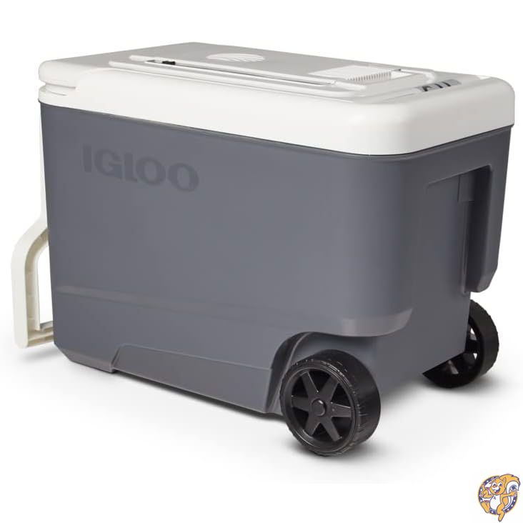 【百貨店大売り出し!クーポン券持参中】Igloo 熱電式 内燃機関受け答え 28-40クオート 灯し火繋ぎはたご屋 12V 空調設備